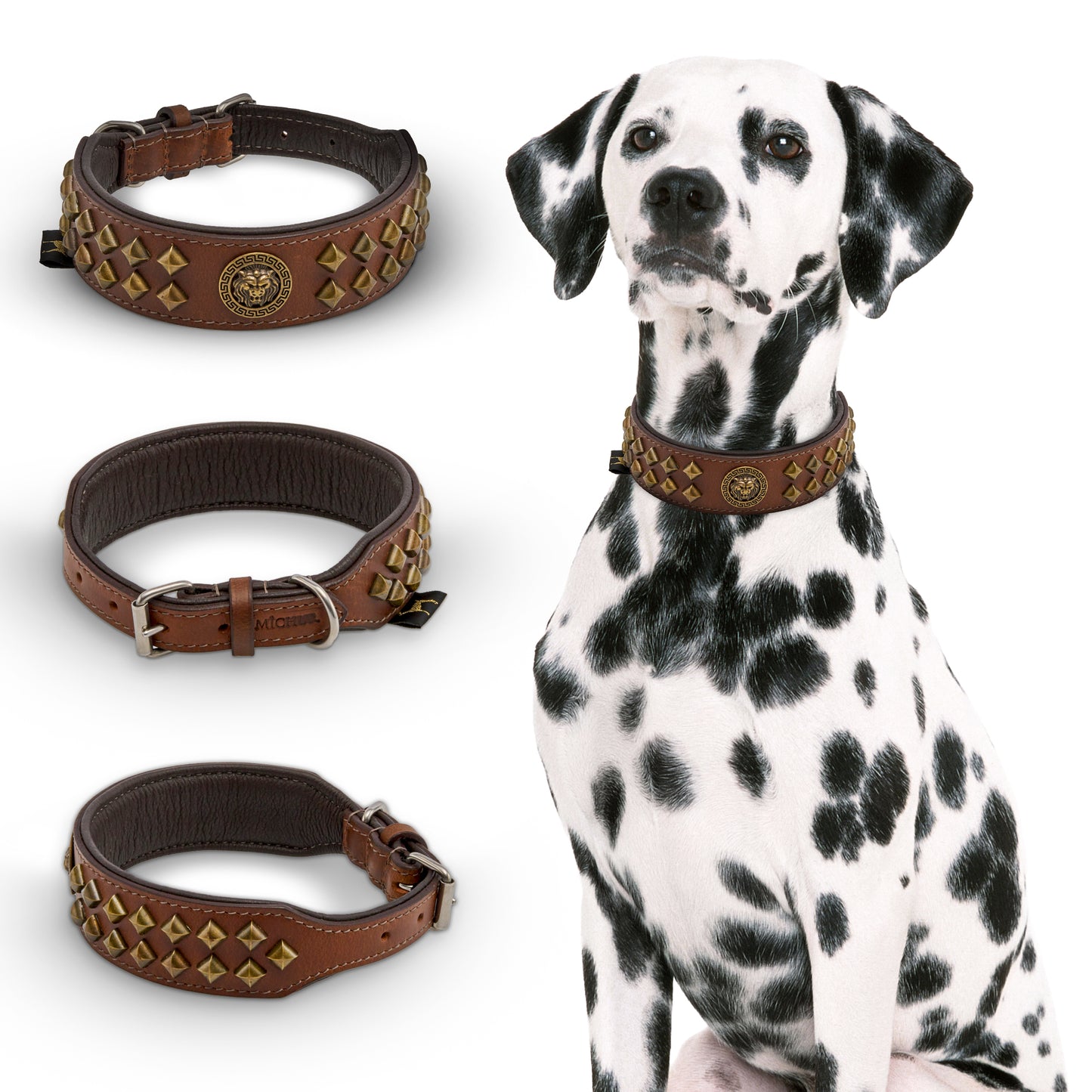 Diego Braun Hundehalsband