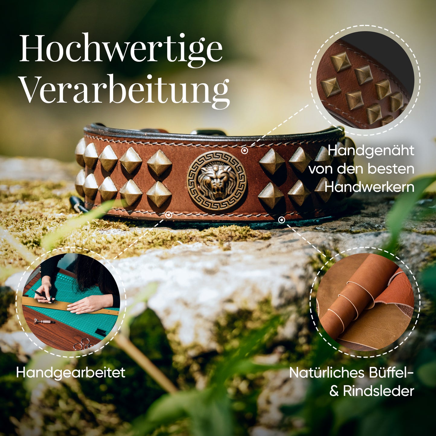 Diego Braun Hundehalsband