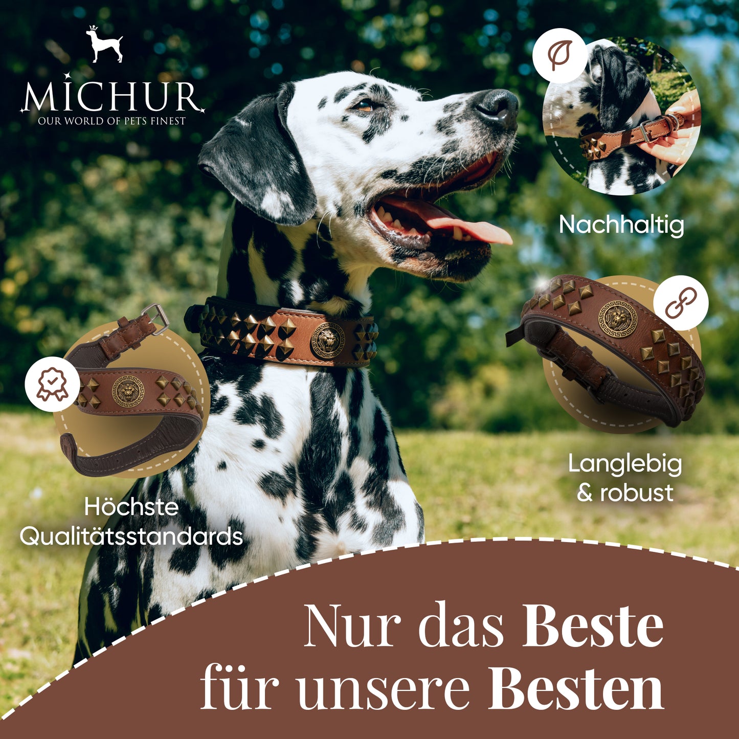 Diego Braun Hundehalsband