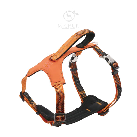 Bruno Hundegeschirr Orange