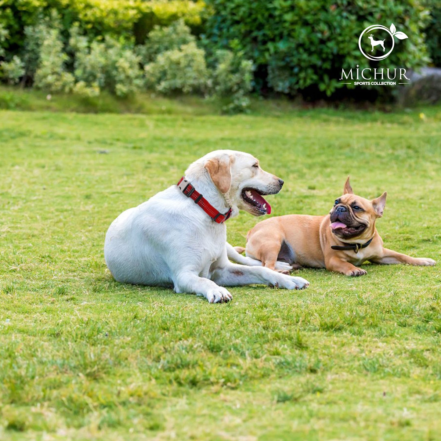 Bruno Hundehalsband Rot