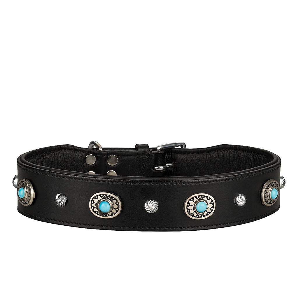 Alonzo Hundehalsband