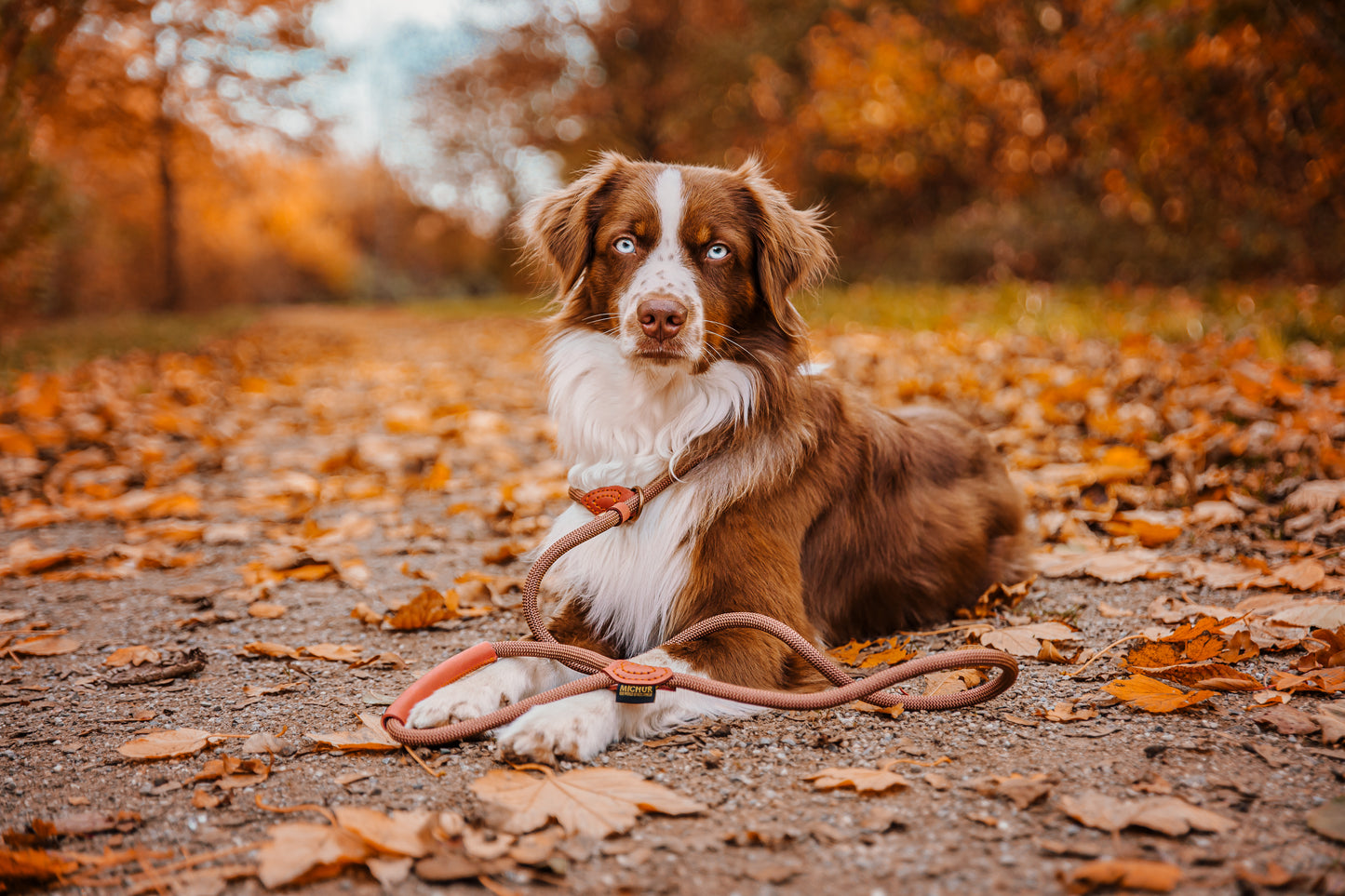 Sherpa Retrieverleine Brown Sugar
