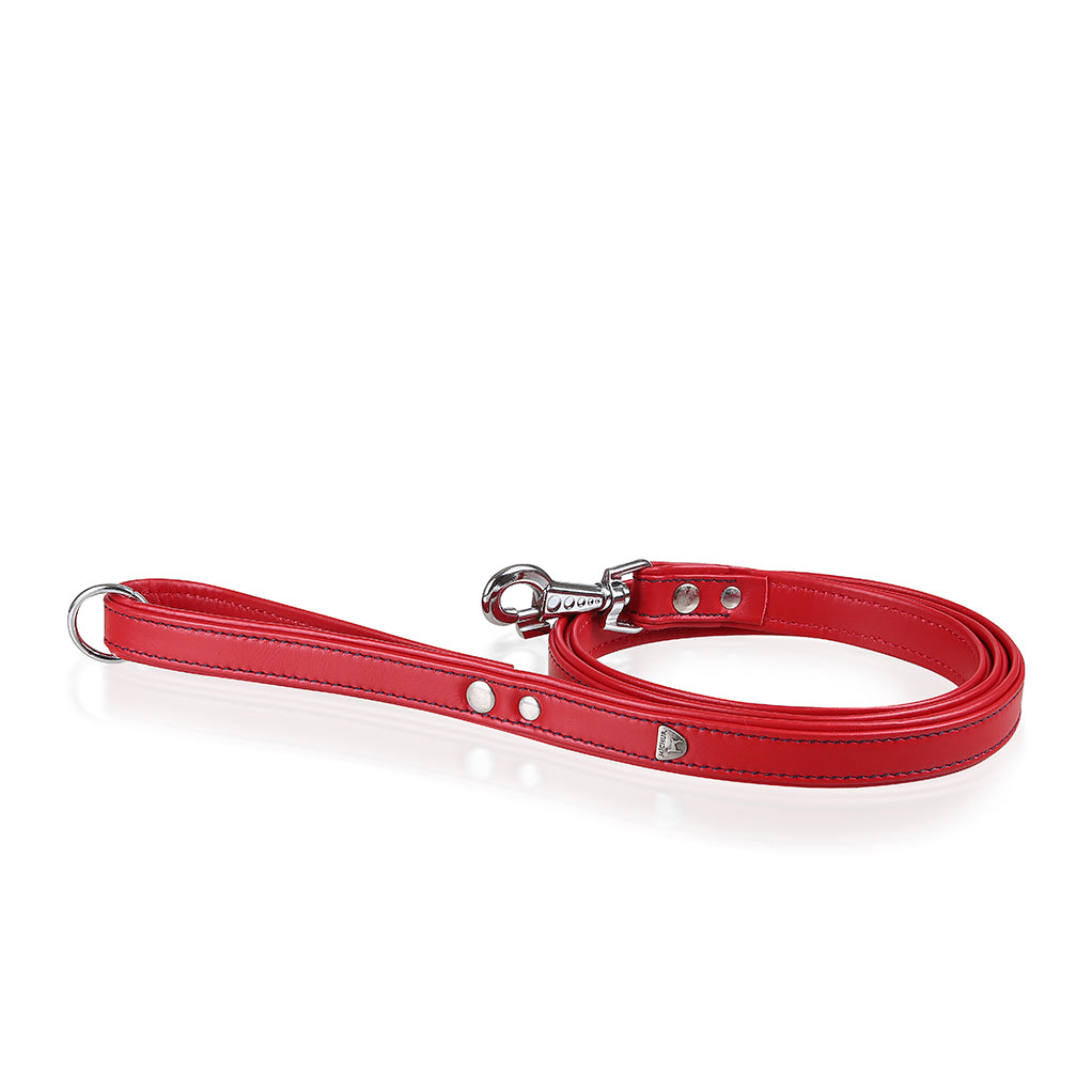 Classica Rot Hundeleine