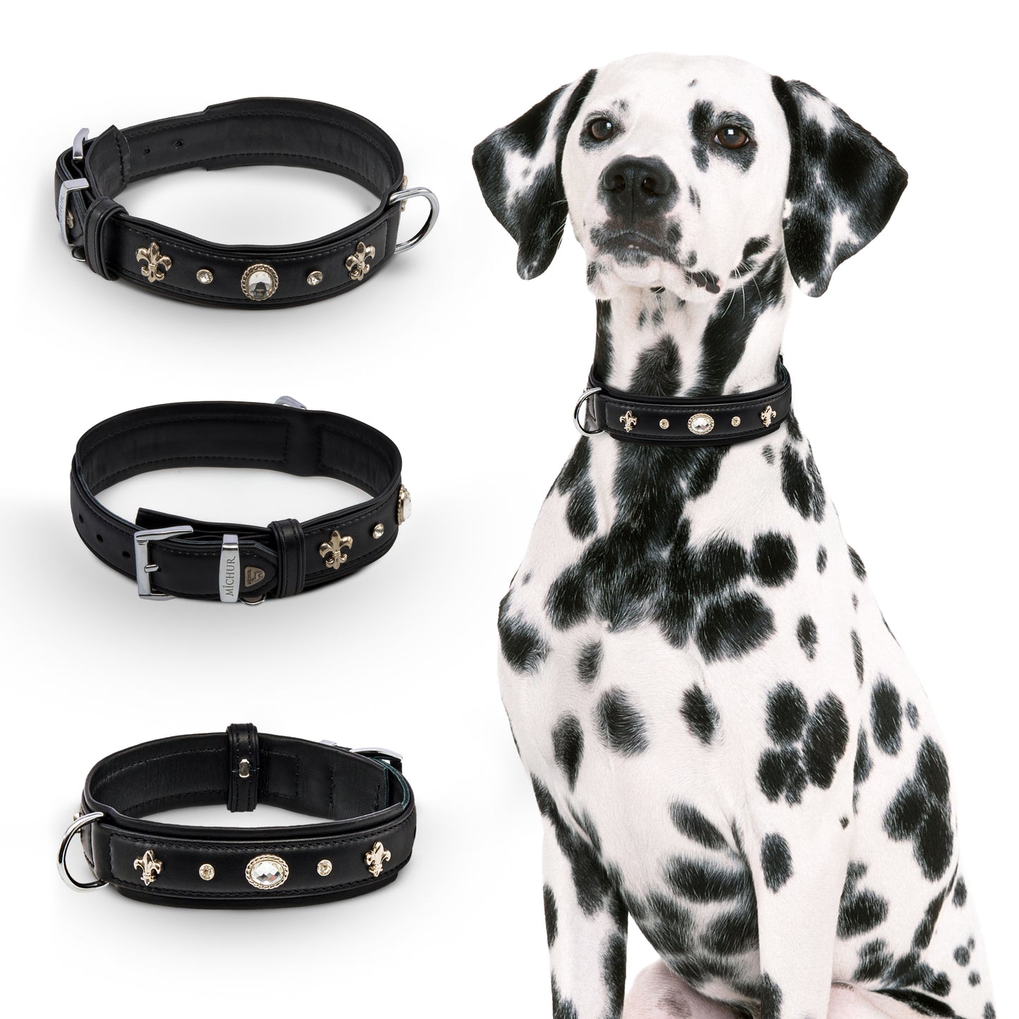 Gala Hundehalsband