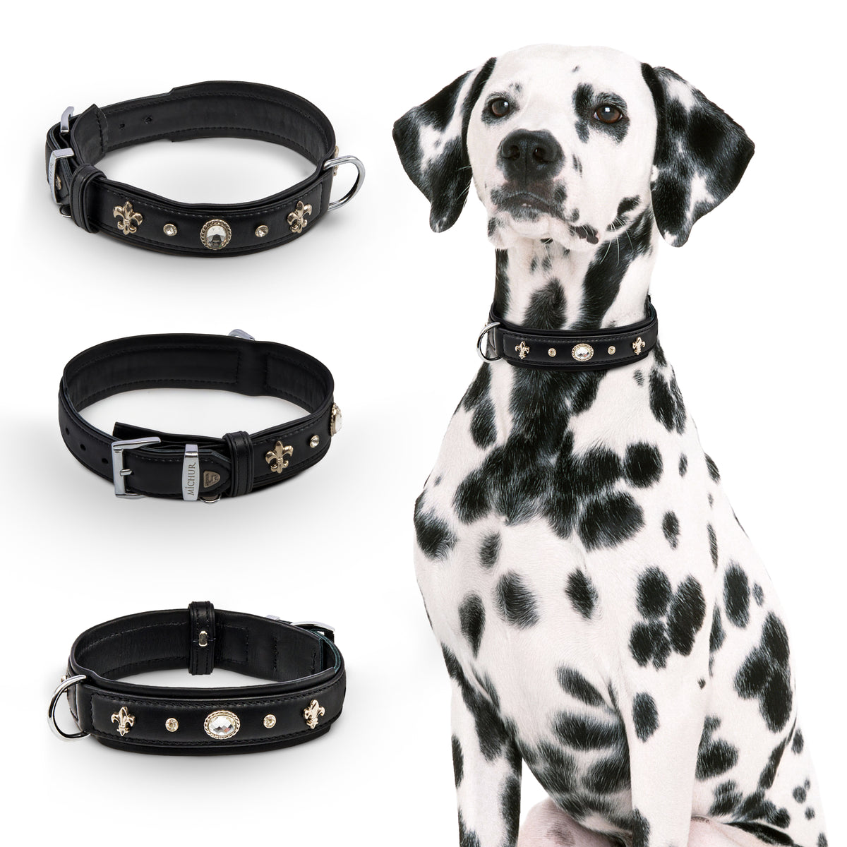 Gala Hundehalsband