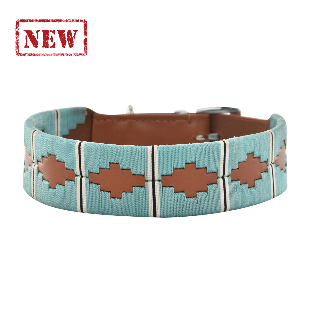 Pippa Turquise Collar "NEW" 