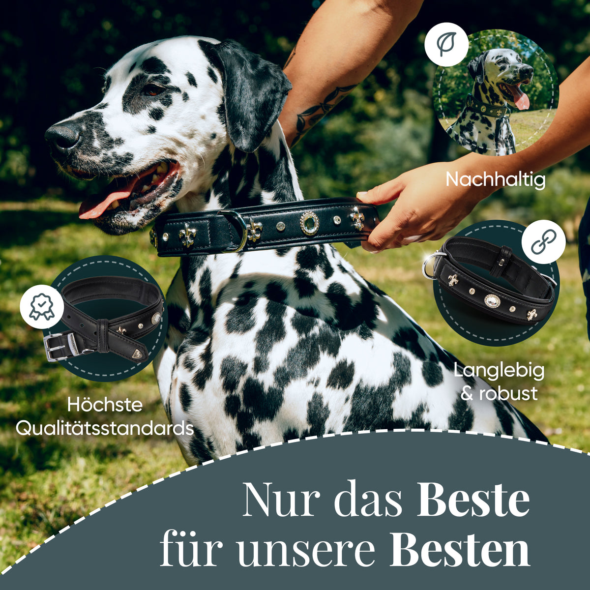 Gala Hundehalsband