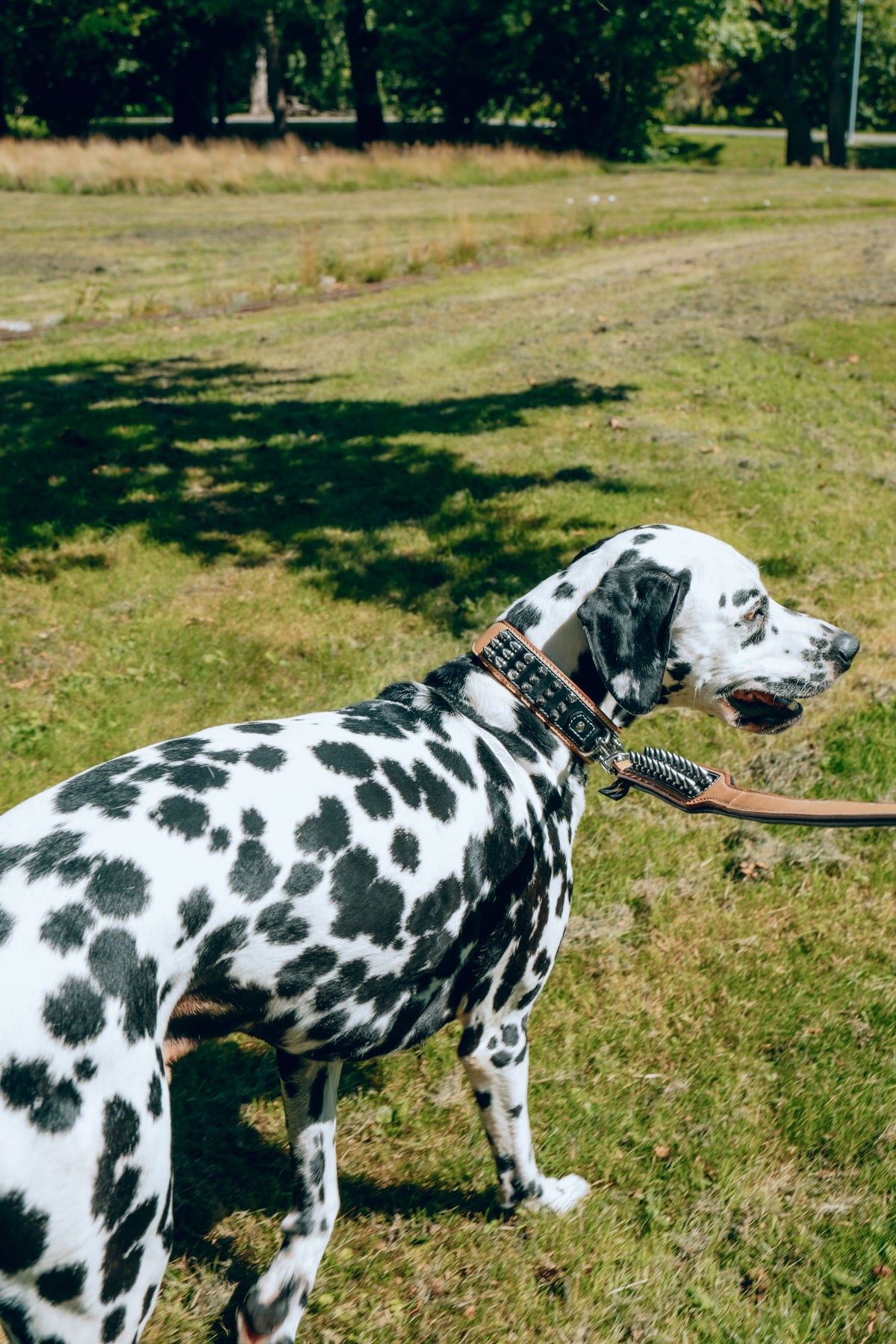 Strike Hundeleine