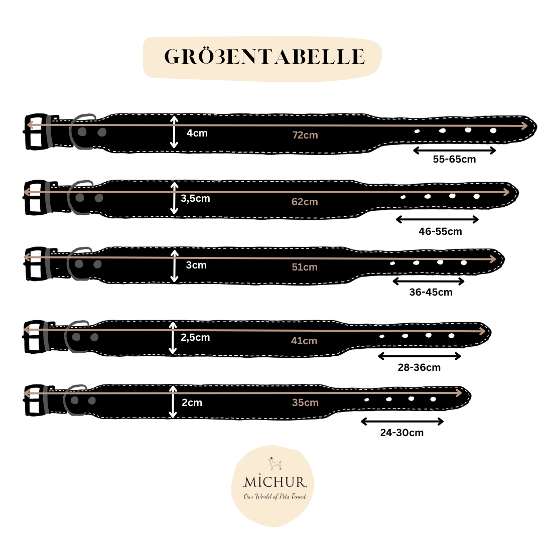Classica Schwarz Hundehalsband
