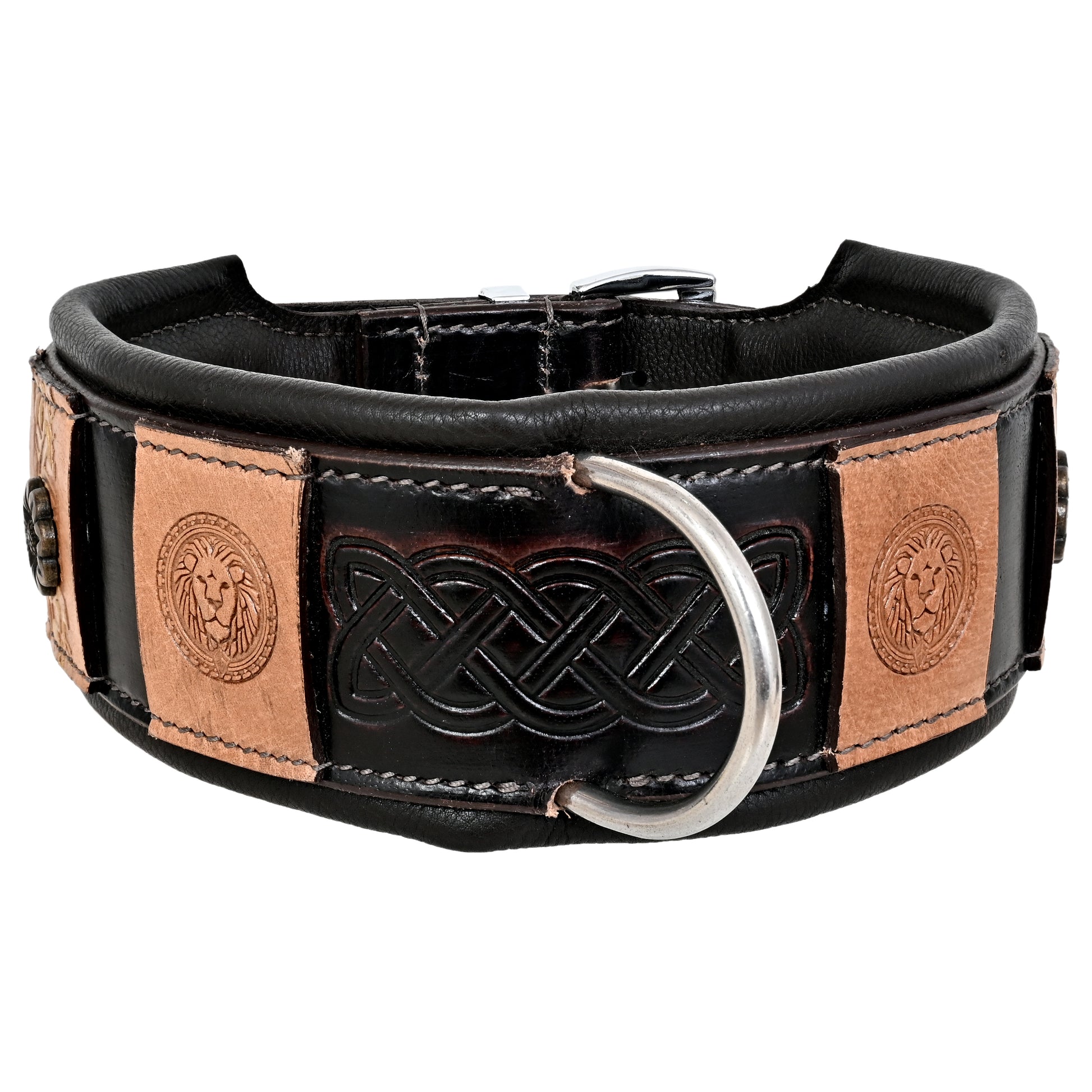 Cesar Hundehalsband – Michur Official - Main Image