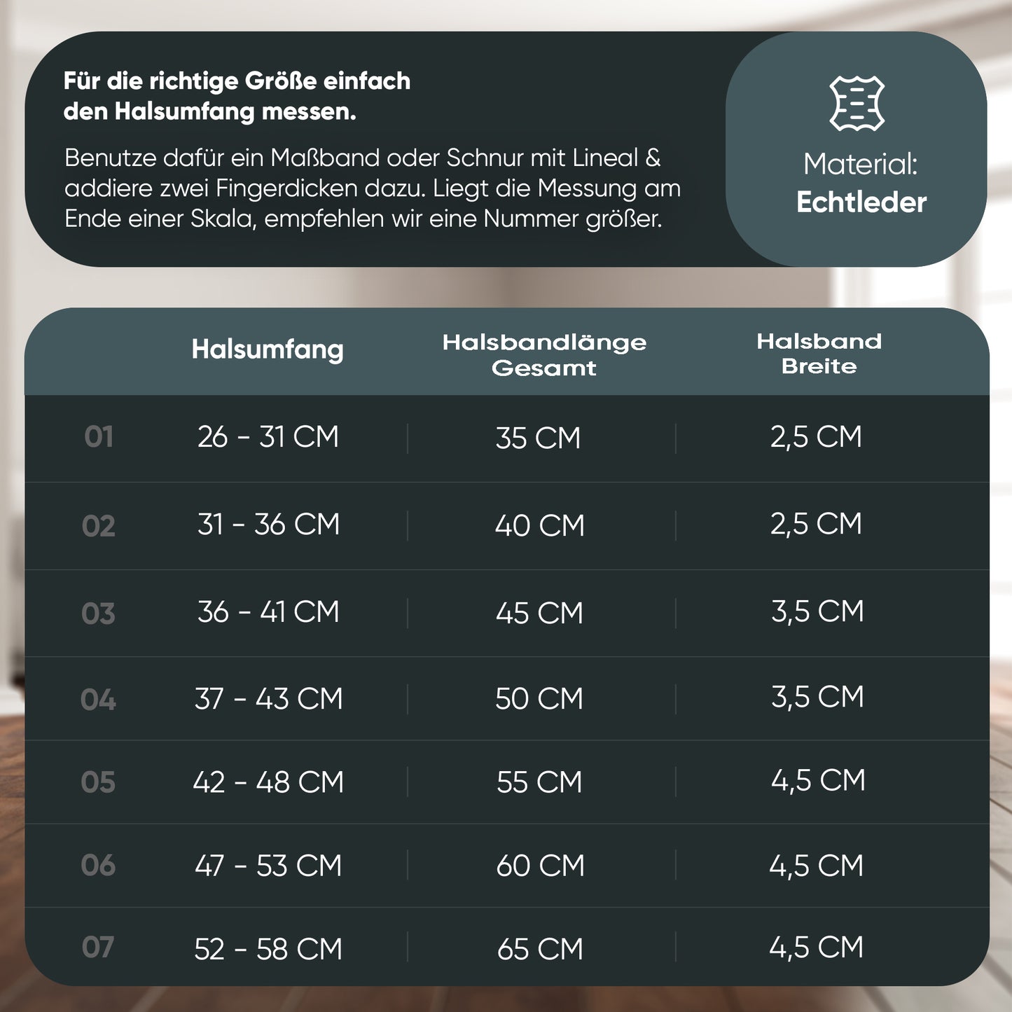 Gala Hundehalsband