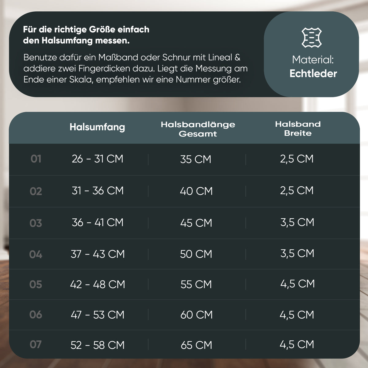 Gala Hundehalsband