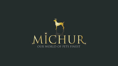 Design Hundehalsband
