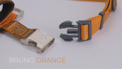 Bruno Hundehalsband Orange