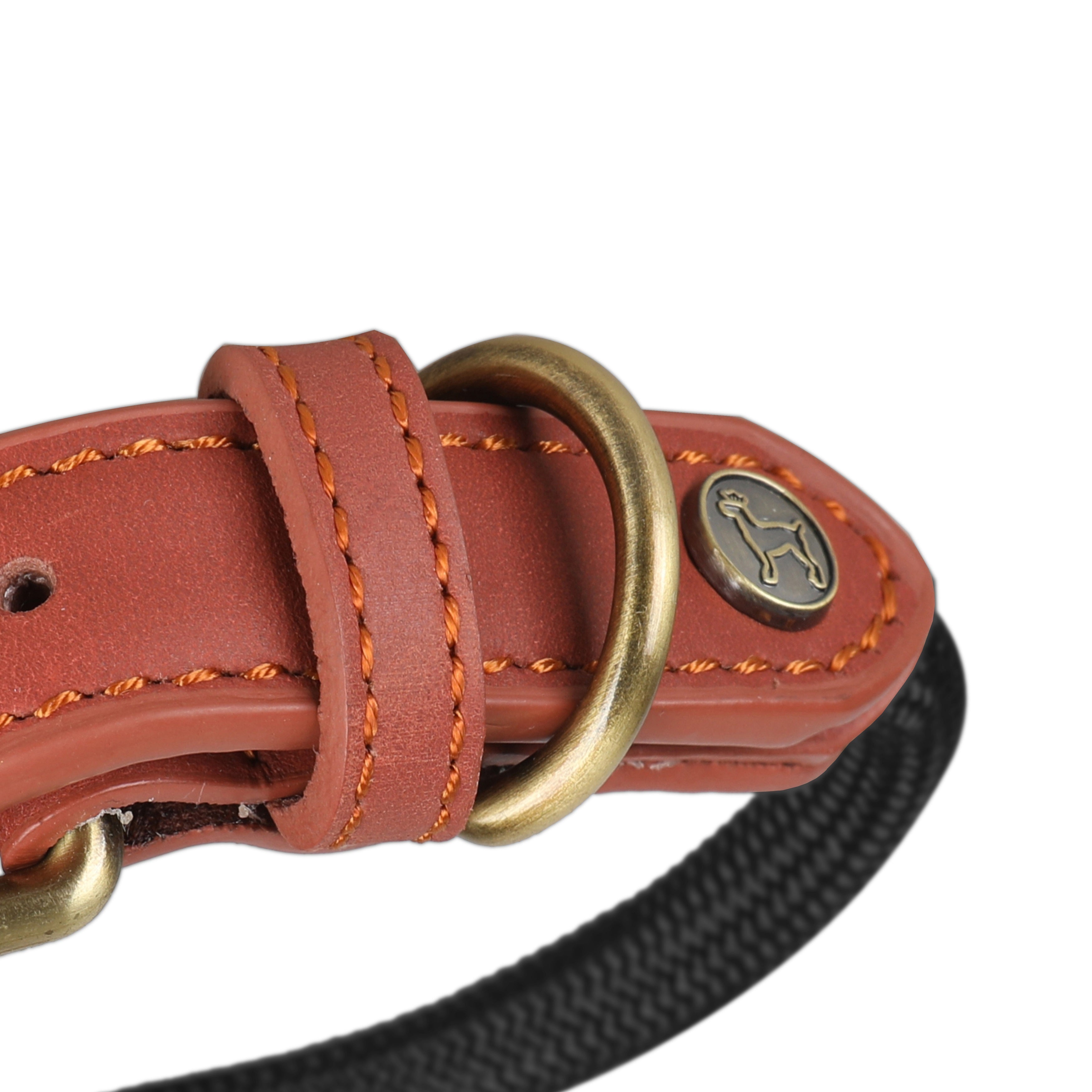 Sherpa Halsband Black Stone