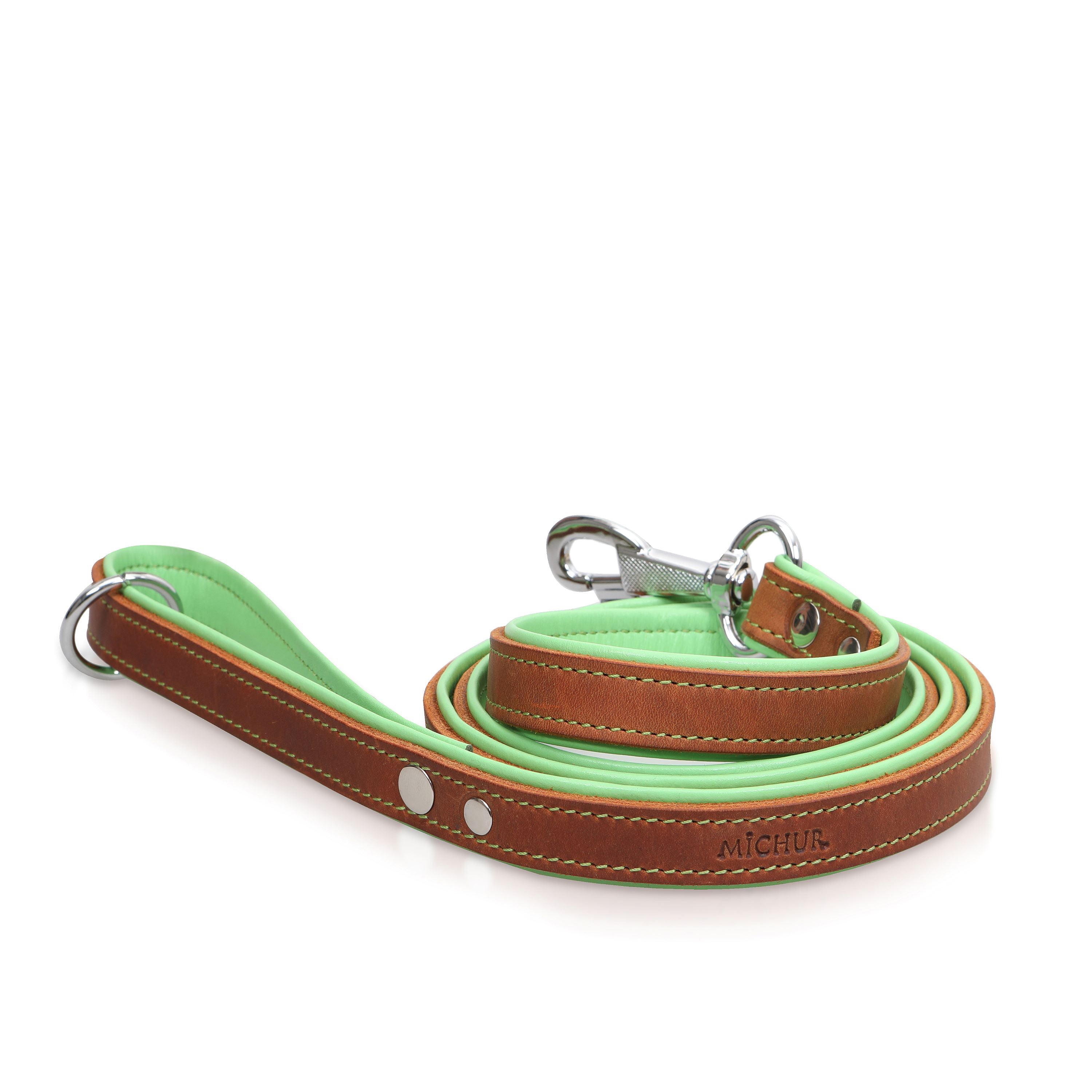 Charly dog ​​leash green 