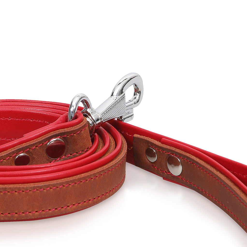 Charly dog ​​leash red 