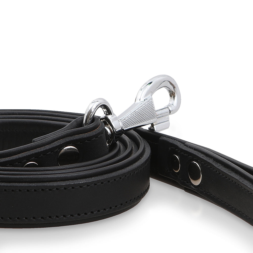 Minimo dog leash black 