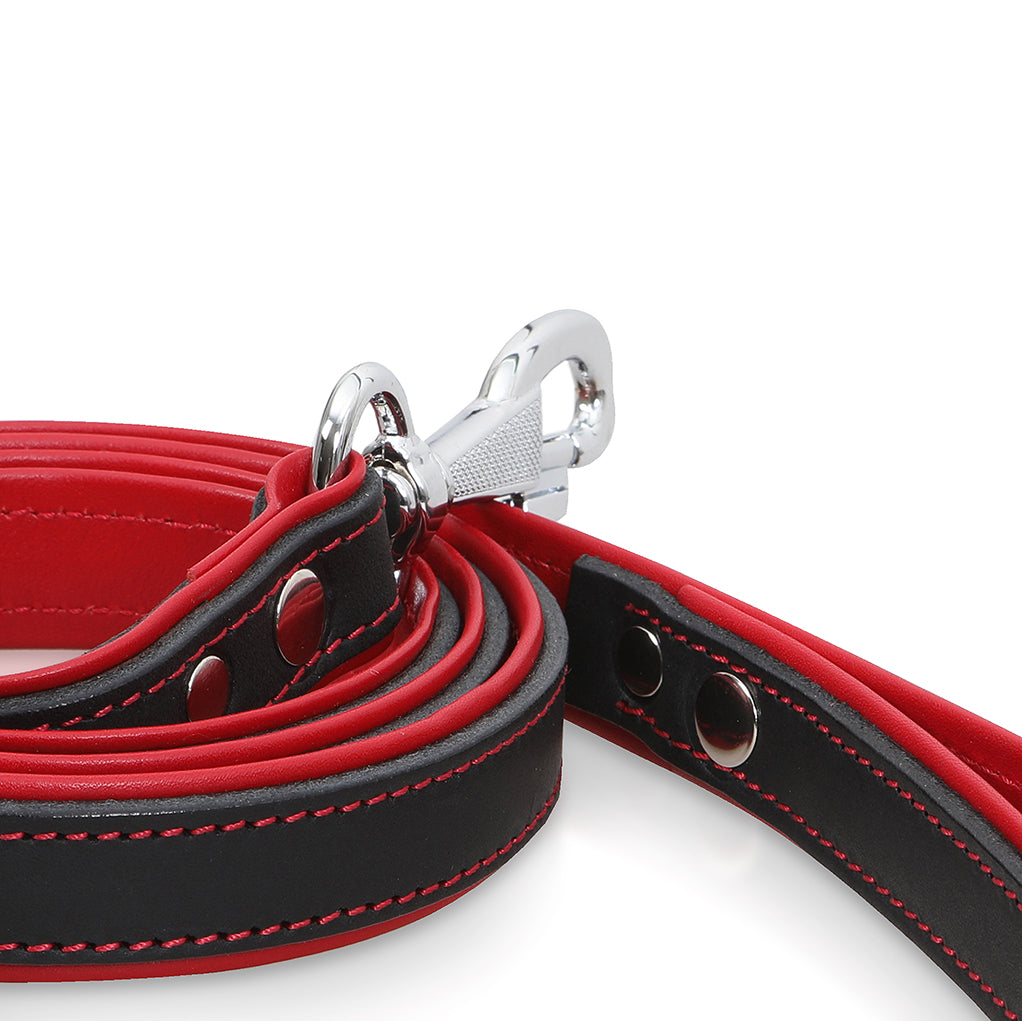 Minimo dog leash red 