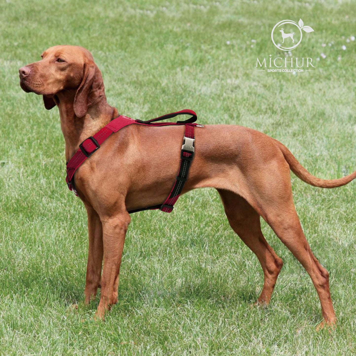 Bruno Hundegeschirr Rot