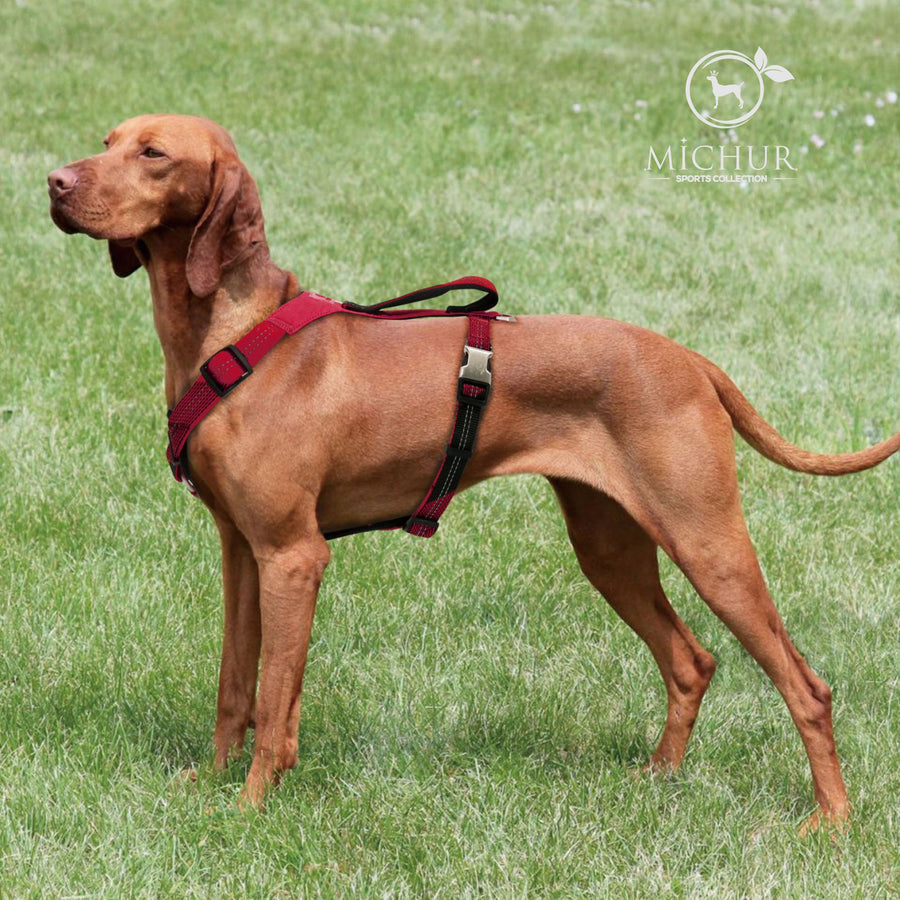 Bruno Hundegeschirr Rot