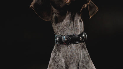 ElPavo Hundehalsband