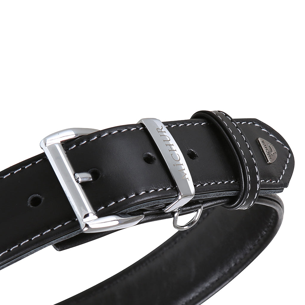 Classica Schwarz Hundehalsband