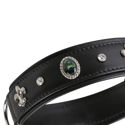 ElPavo Hundehalsband