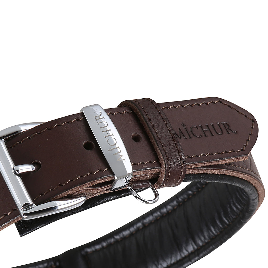 Design Hundehalsband
