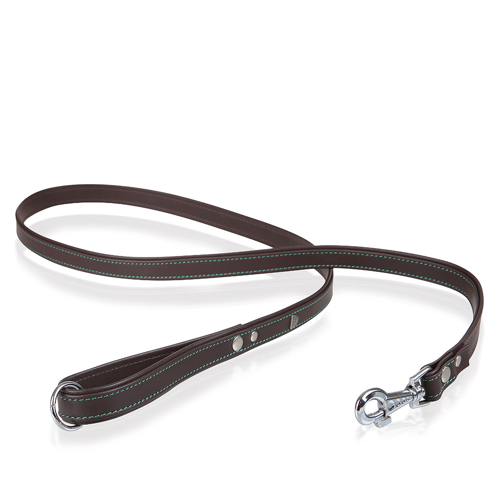 Classica brown dog leash 