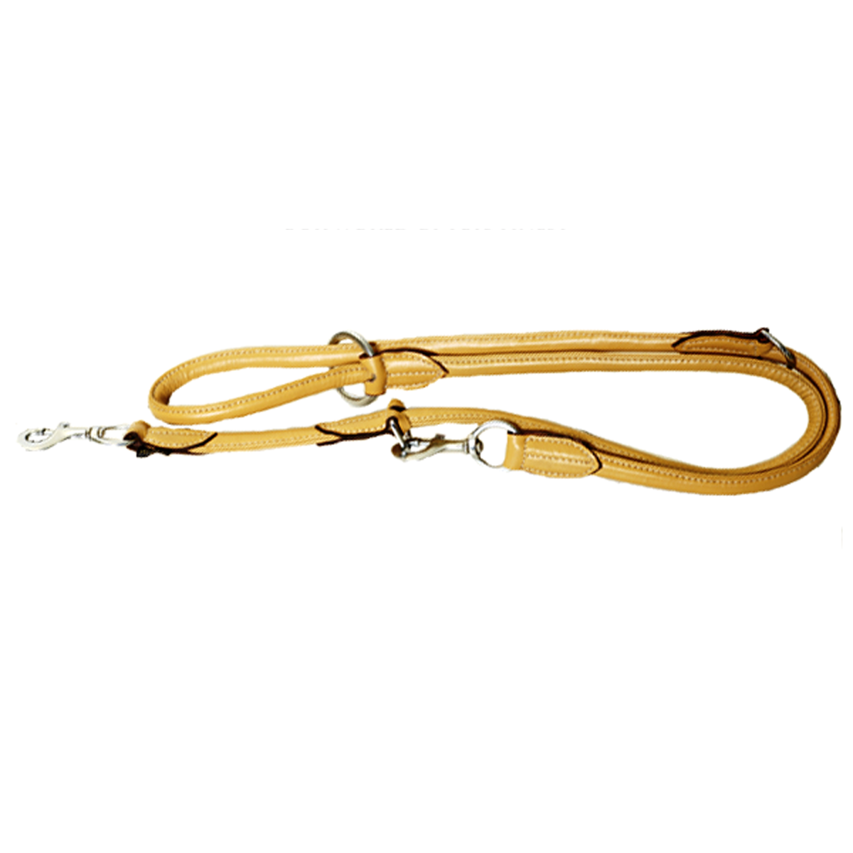 Santiago dog leash beige 