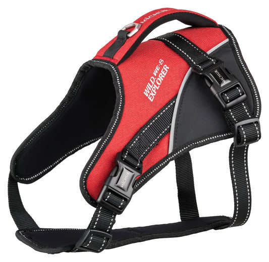 Joel Hundegeschirr Rot