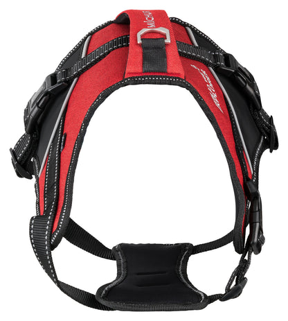 Joel Hundegeschirr Rot