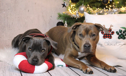 Oleo Hundehalsband Rot