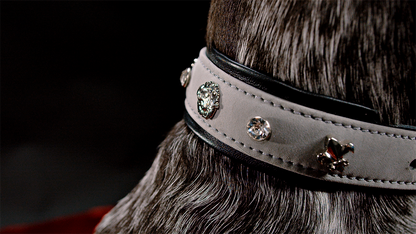 Leon Hundehalsband