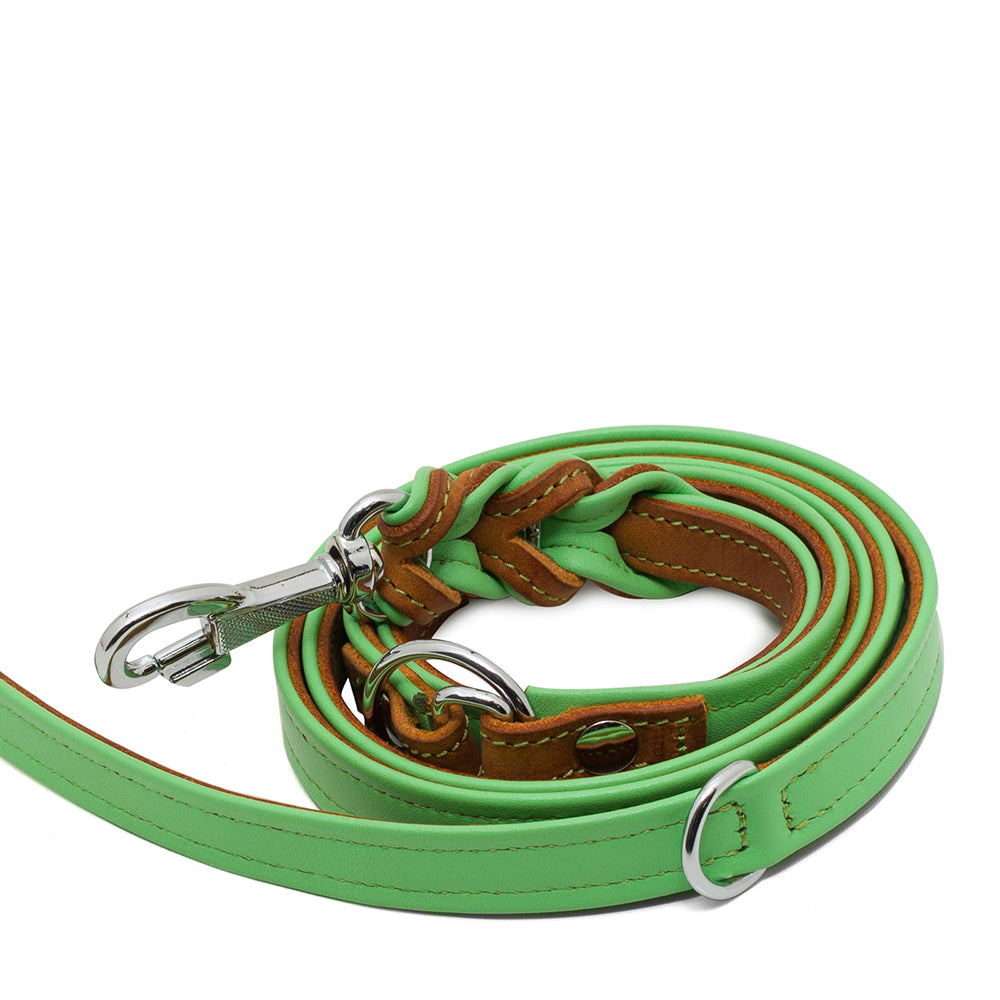 Charly Twist dog leash green 