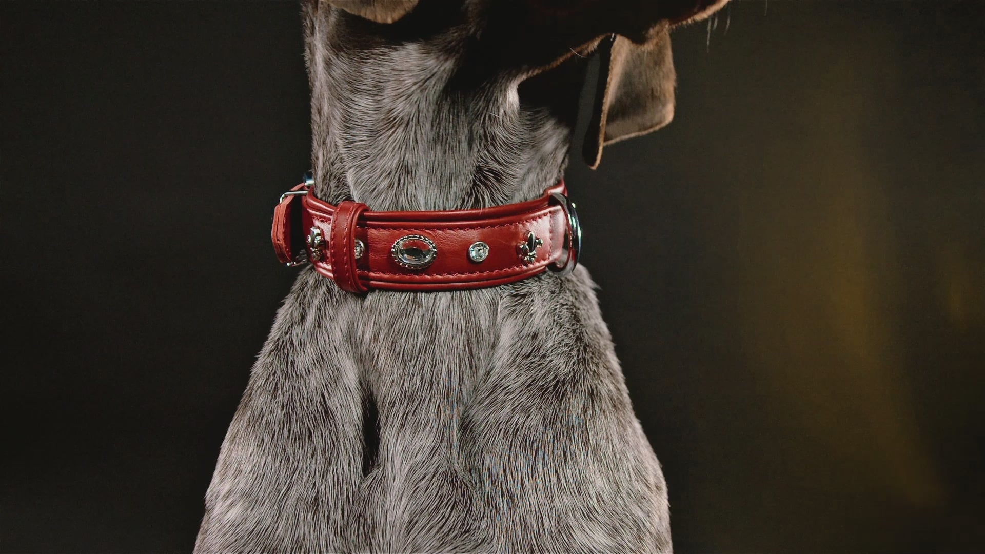 Julieta Halsband